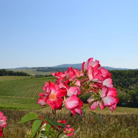 Agriturismo Cignanbianco Castellina in Chianti Bagian luar foto
